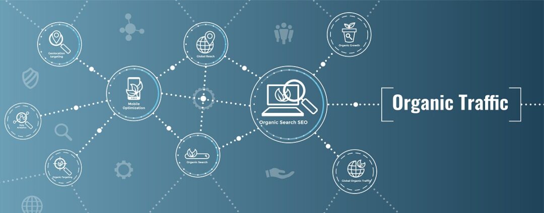 Optimize Your Images with SEO Optimize Your Images with SEO
