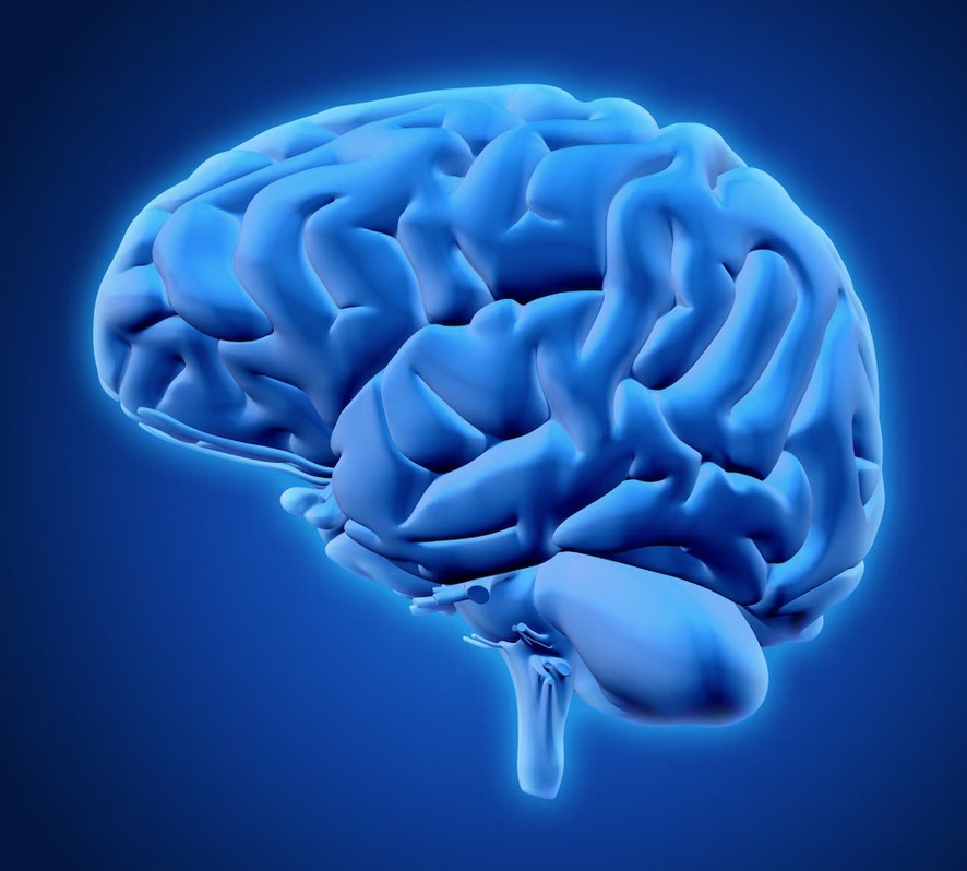 google rank brain
